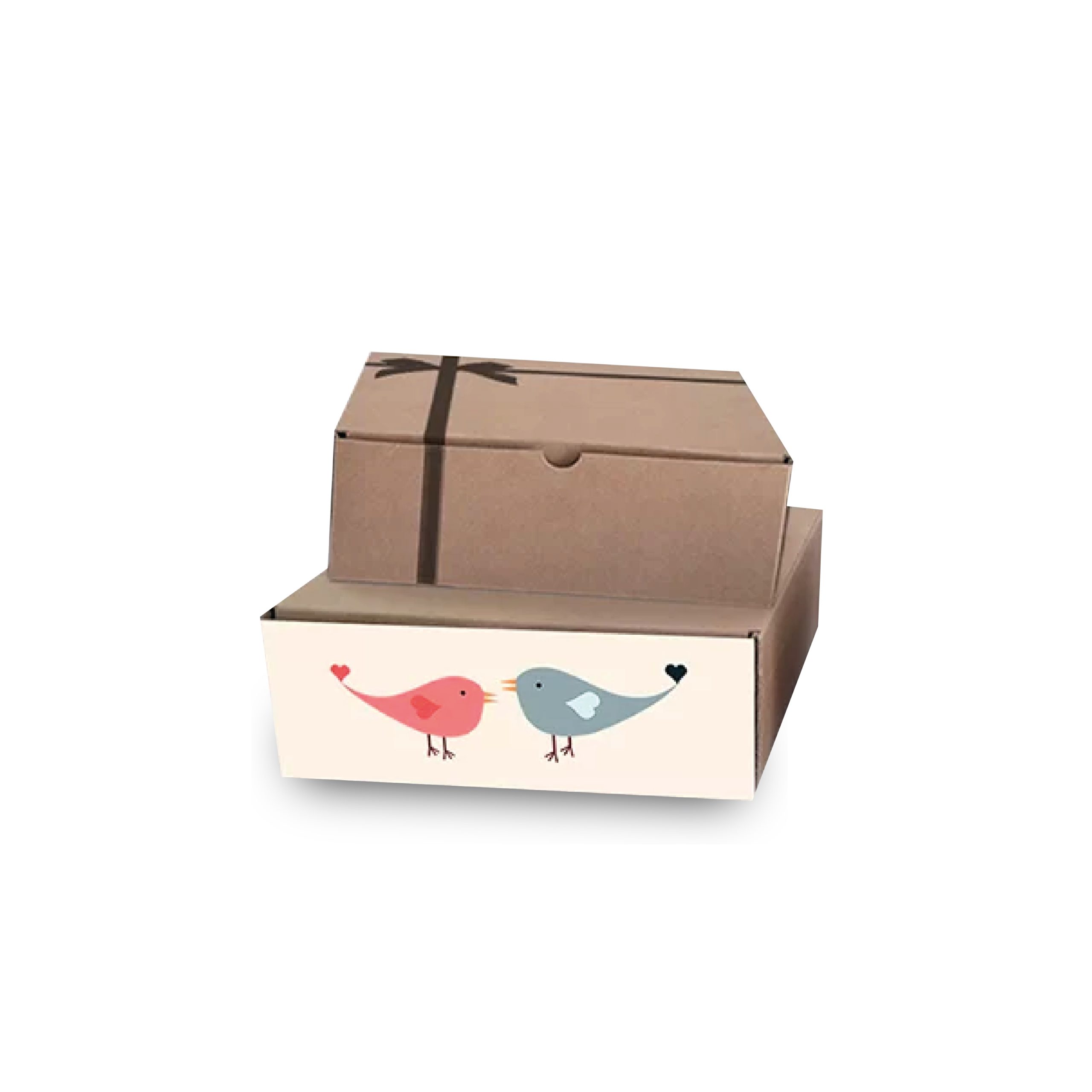 Caja-tipo-regalo-1-24x15x10-cm_Mesa-de-trabajo-1-scaled-1.jpg